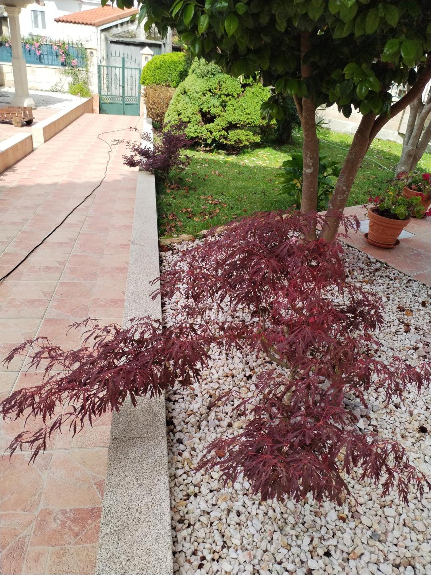 Villa Casa Lopez à Carnota Extérieur photo